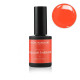 BAIES DE GOJI - VERNIS PERMANENT