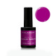 DRAGON FRUIT JUICE - VERNIS PERMANENT