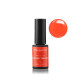 BAIES DE GOJI - VERNIS PERMANENT