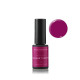 HYPNOTIQUE FUSHIA - VERNIS PERMANENT