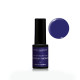 vernis semi permanent wild blueberry