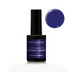 vernis semi permanent wild blueberry