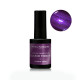 Purple Tang Vernis Semi Permanent - 15ML