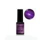 Purple Tang Vernis Semi Permanent - 5ML